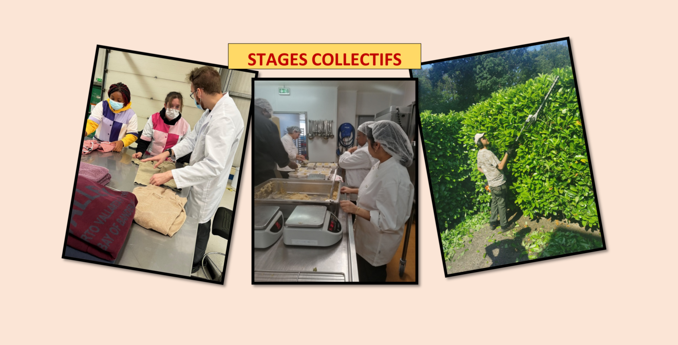 Stages Collectifs en ESAT