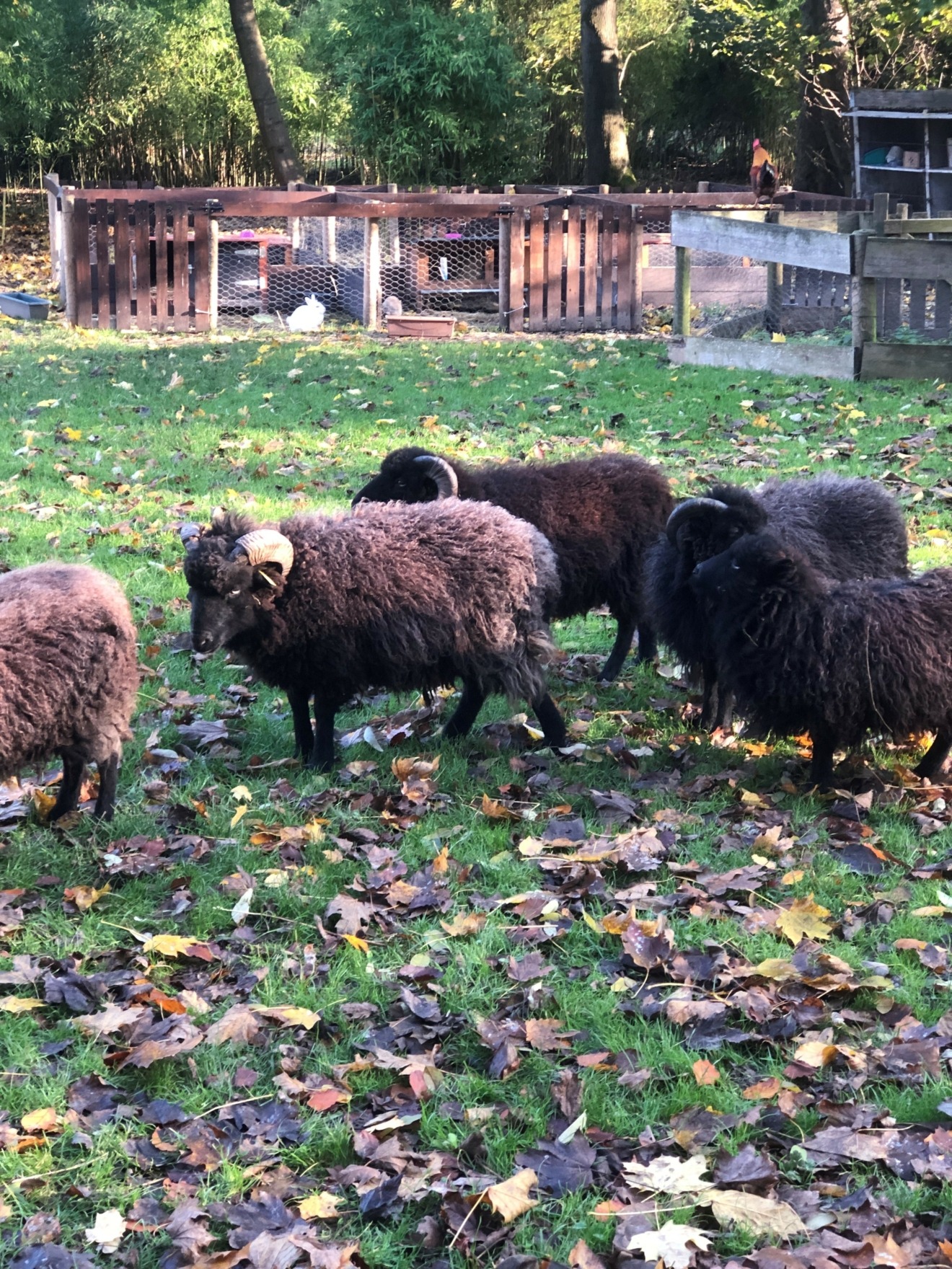 Une nouvelle année à la Ferme Pédagogique